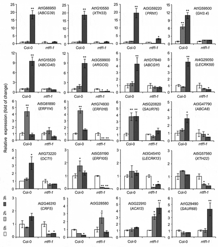 Figure 1. The expression of 20 eATP responsive genes in Col-0 and rrtf1-1 seedlings. Expression of gene was detected by using realtime quantitative PCR, which Actin2 was used as a reference gene. The primers of these genes are listed in Table 2. Four-d seedlings were transplanted onto 0.5 mM ATP-containing medium and cultured under light for 2 or 3 h. Then, total RNA was extracted and expression of each gene was detected. Data from three biological replicates (each include three technical replicates) were used to calculate the mean ± SD and statistically analyzed. Student’s t-test p-values: * p < .05, ** p < .01.