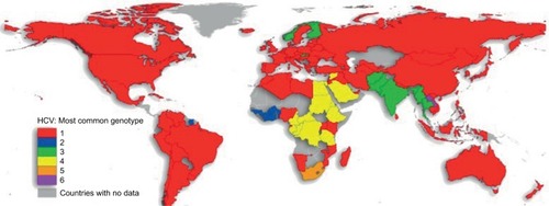 Figure 1 Genotype 1 is the most common cause of chronic hepatitis C infection worldwide. Reproduced from Messina JP, Humphreys I, Flaxman A, et al. Global distribution and prevalence of hepatitis C virus genotypes. Hepatology. 2015;61(1):77–87. Creative Commons license and disclaimer available from: http://creativecommons.org/licenses/by/4.0/legalcode.Citation5