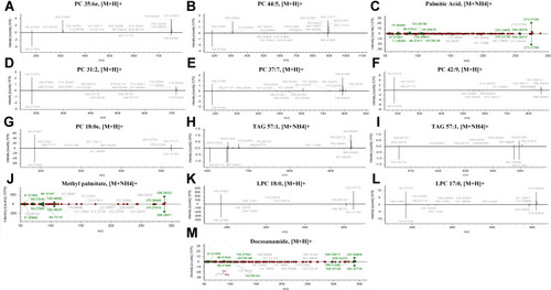 Figure 7 The identification of 12 differential lipids with good diagnosis between NR and CAA groups. (A) PC 35:6e; (B) PC 44:5; (C) Palmitic acid; (D) PC 31:2; (E) PC 37:7; (F) PC 42:9; (G) PC 18:0e; (H) TAG 57:1; (I) TAG 57:1; (J) Methyl palmitate; (K) LPC 18:0; (L) LPC 17:0; (M) Docosanamide.