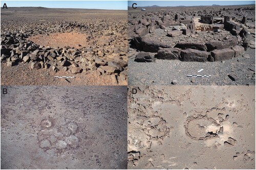 Figure 3 Examples of enclosure construction on the Harrat ‘Uwayrid. A–B: multi cellular ‘honeycomb’ clusters of irregularly-shaped abutting enclosures with rubble walls — individual cells measure anywhere from 2.5 m to 35 m; C–D: Standing Stone Circles with upright stone walls (single Standing Stone Circle examples pictured).