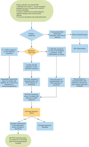 Figure 1 Screening and management protocol for BKV infection in kidney transplant recipients.
