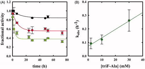 Figure 7. Panel A: Inactivation kinetics of OASS-B upon prolonged incubation time with 2 (black), 10 (red) and 30 mM (green) triF-Ala. Panel B: dependence of kobs to the concentration of triF-Ala.