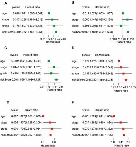 Figure 5. The risk score was an independent predictor of overall survival.