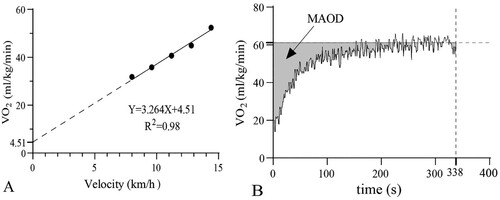Figure 2. The linear relationship between oxygen uptake and velocity for participant A during the five-stage submaximal constant intensity test is presented in panel A. The kinetic fitting curve of oxygen uptake during the supramaximal intensity test for participant A is presented in panel B. The grey area represents the MAOD.