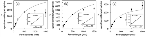 Figure 4. Effect of formaldehyde concentration on the formaldehyde dismutase activity of the Fdms of FD1 and the Lineweaver-Burk plots (inset).