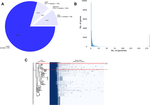 Figure 7 Genomic diversity among blaNDM-1-harboring CREC isolates compared to previously published genomes.