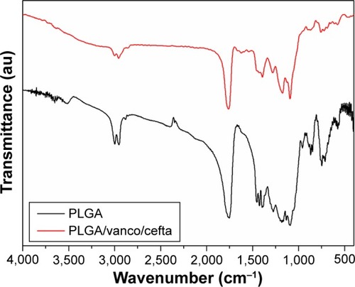 Figure 6 FTIR spectra of electrospun nanofibers.Abbreviations: Cefta, ceftazidime; FTIR, Fourier transform infrared; PLGA, poly(d,l)-lactide-co-glycolide; Vanco, vancomycin.