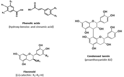 FIGURE 1 Examples of phenolic acids, condensed tannins, and flavonoids structure (adapted from).[Citation32,Citation38]