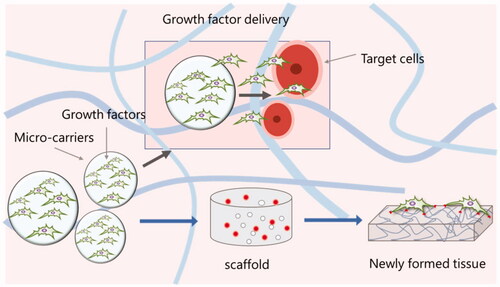 Figure 1. Growth factor delivery in tissue engineering (Aguilar et al., 2019).