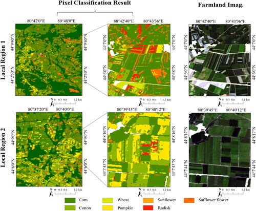 Figure 8. Local region classification result map based on pixel.