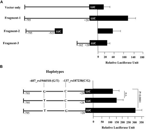 Figure 2 Luciferase activity assay for the fragments containing IL-18 promoter. (A) nested deletions of this region were generated, cloned into pGL3 luciferase vector and transfected in HuH7 cell line for 24 h. (B) As fragment 1 showed the highest luciferase activity, it was further tested to evaluate the effect of the SNPs included in this fragment on the expression activity. Cells were harvested and tested for luciferase activity after normalization using renilla luciferase enzyme. Each experiment was performed in triplicates. Values represent mean ±SD.