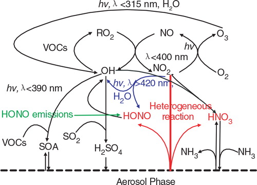Fig. 4 Impacts of the additional HONO sources on the chemical coupling between ozone and particulate matter. HONO sources increase OH concentrations and subsequently promote O3 and PM production. HNO3 produced from the NO2 heterogeneous reaction on aerosol surfaces enhances nitrate concentrations in presence of NH3.