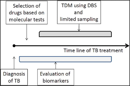 Figure 2. Next generation approach of integrated therapeutic drug monitoring approach including molecular testing and biomarker evaluation.