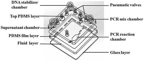 Figure 1. Schematic illustration of the integrated microfluidic chip, showing the four layers and chambers.