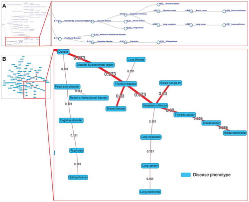 Figure 5. The visualizations of disease tree (A) and disease network (B) for the hsa-mir-103b dysregulation associated with disease phenotypes. The values by the lines are the association scores between the ncRNA and the disease phenotypes.