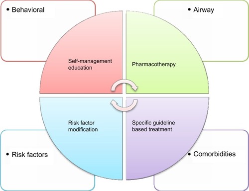 Figure 2 Model of disease components and individualized treatment approach.