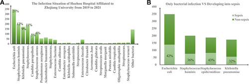 Figure 2 The Infection Situation of Huzhou Central Hospital from 2019 to 2021 (A). The number of bacteria-infection patients and the proportion of bacteria-infection induced sepsis (B).