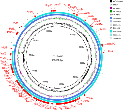 Figure 5 Plasmid map. Plasmid pA were compared with pKP18069-CTX, pNMBU-W07E18_01, pC2601-2, pC2972_2, pC2974_2, p1_015093, and plasmid pB uses MK191023.1 as the reference genome. In the outermost layer of the map, the drug resistance gene, movable element and type IV secretion system carried by the plasmid were marked. The missing portion indicates no expression or less than 50% genomic similarity in the strain genome compared to the reference genome.