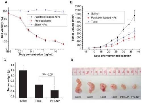 Figure 5 (A) Inhibition of cancer cell proliferation by free paclitaxel and paclitaxel-loaded PHEMA-PLA-DPPE nanoparticles. Inhibition of MCF-7 cell proliferation by free paclitaxel, paclitaxel-loaded nanoparticles, or empty nanoparticles after 48 hours of incubation at 37°C. The concentration of empty nanoparticles used was equal to the concentration of paclitaxel-loaded nanoparticles. Tumor volume (B) and tumor weight (C) of MCF-7 tumor-bearing female nude mice treated with saline, paclitaxel, or paclitaxel-loaded PHEMA-g-(PLA-DPPE) nanoparticles. Data are presented as the mean ± standard deviation (n = 4). (D) Representative images of excised tumors from mice treated with saline, free paclitaxel, or paclitaxel-loaded PHEMA-g-(PLA-DPPE) nanoparticles.Abbreviations: PHEMA, poly (2-hydroxyethyl methacrylate; PLA, poly (lactide)-1; DPPE, 2-dipalmitoyl-sn-glycero-3-phosphoethanolamine.