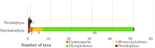 Figure 3. Taxonomic identification of medicinal plants reported in this study.