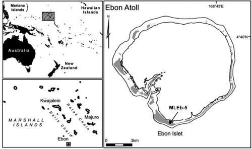 Figure 2. Map of Ebon Atoll showing the location of MLEb-5 archaeological site (modified from Harris and Weisler Citation2018, 43, reprinted with permission from Taylor & Francis).