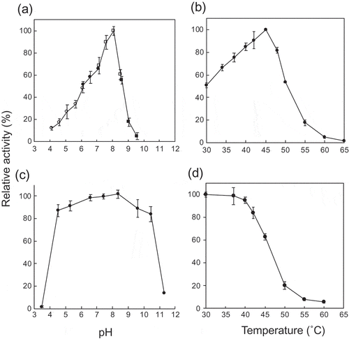 Figure 2. Effects of pH and temperature.(a) pH activity curve. Reaction buffers are sodium citrate buffer (open circles), MES-NaOH buffer (close circles), HEPES-NaOH buffer (open squares), and glycine-NaOH buffer (close squares). (b) Temperature activity curve. (c) pH stability. Residual activity after the pH treatment at 4°C for 24 h is shown. (d) Temperature stability. Residual activity after the heat treatment for 15 min is shown. Values and error bars are average and standard deviation of three independent experiments.