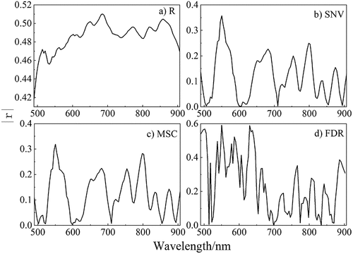 Figure 5. Absolute value of the correlation coefficient between the soil spectrum and SOM.