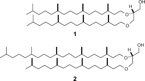 Fig. 1. Lipid-core structure of archaea.