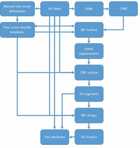 Figure 1. Overview of the segmentation algorithms using templates (i.e. tree crown density models).