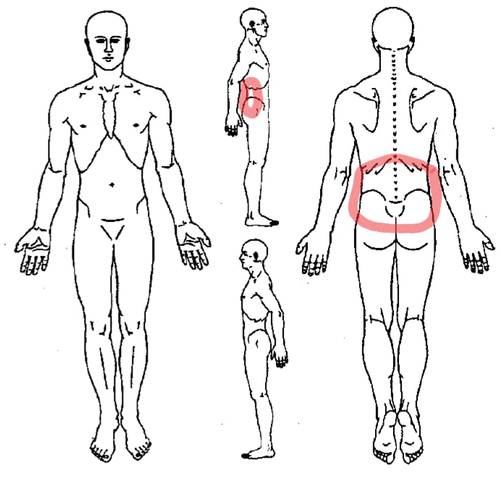 Figure 2. Body chart. The lower and lateral right side in back spine symptoms’ localization at the time of the first physiotherapy encounter.