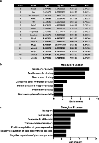 Figure 1. Transcripts downregulated in Nrmt1−/− mice. (a) The top ten transcripts with lower expression in Nrmt1−/− mice include Nrmt1 and Mup8. Extending past the top ten into the top 50 reveals downregulation of several other major urinary protein (Mup) transcripts. Gene ontology analysis provided enriched (b) molecular functions and (c) biological processes of the top 50 genes with downregulated expression.