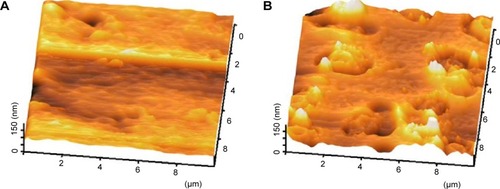 Figure 9 Representative 3D topographical view of control and 24 hours coated sample obtained by AFM.Notes: (A) Pristine mPE, (B) A-24 h-mPE.Abbreviations: mPE, metallocene polyethylene; AFM, atomic force microscopy; D, dimensional; A-12 h-mPE, 12 hours Aloe vera-coated; A-24 h-mPE, 24 hours Aloe vera-coated.