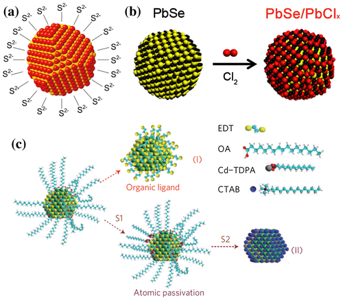 Figure 14. (a) S2– inorganic capping. Reprinted with permission from [Citation123]. Copyright 2011 American Chemical Society. (b) Atomic-chlorine passivation. Reprinted with permission from [Citation126]. Copyright 2012 American Chemical Society. (c) Atomic-ligand passivation developed by Tang et al. OA stands for oleic acid, TDPA for tetradecylphosphonic acid and CTAB for cetyltrimethylammonium bromide. Reprinted with permission from [Citation96]. Copyright 2011 Nature Publishing Group.