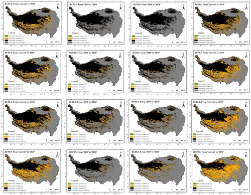 Figure 3. Spatial distribution of future permafrost changes (from now to 2030, from 2030 to 2050, from 2050 to 2070, from 2030 to 2050, and from now to 2070) on the QTP for four RCPs. ‘Increased permafrost’ indicates seasonally frozen ground or persistently nonpermafrost conditions that have changed to permafrost. ‘Decreased permafrost’ represents permafrost that has degraded to nonpermafrost. ‘Unchanged permafrost’ and ‘Unchanged nonpermafrost’ means persistent permafrost and nonpermafrost conditions, respectively.