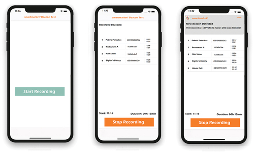 Figure A1. Mobile Interface in the First BIE Phase.