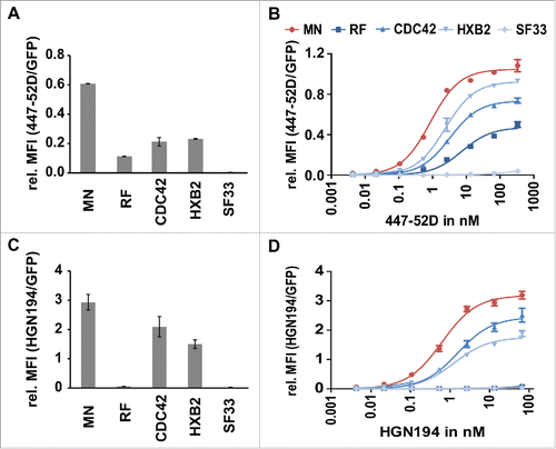 Figure 5. Analysis of the affinities of 447–52D and HGN194 to the individual members of the Env/V3 model library. 24 h post induction of the Env/V3 stable HEK293 cell lines with doxycycline (1 µg/ml), these cells were stained with mAbs 447–52D or HGN194 until equilibrium binding was reached. Relative MFI values of bound antibodies in relation to the eGFP signal (MFI APC/ MFI eGFP) to normalize for Env expression levels are shown (mean values of 3 independent experiments). A and C: Relative MFIs (MFI APC/ MFI eGFP) of HEK293 cell lines stained with 2.7 nM 447–52D (A) and 6.7 nM HGN194 (C) (the same concentrations as used in all sorting experiments, see below) are shown to illustrate the individual binding pattern of the 5 Env/V3 chimeras to the respective antibody. B and D: flow cytometry titration using serial dilutions of 447–52D (B) and HGN194 (D).