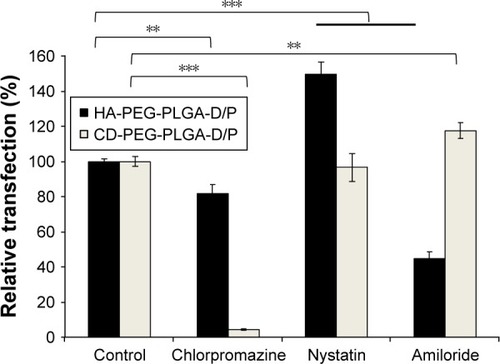 Figure 8 Effect of endocytosis inhibitors on transfection of D/P-loaded HA-PEG-PLGA and CD-PEG-PLGA NPs in U87 cell line (n=3, **p < 0.01, ***p < 0.001).Abbreviations: CD, chondroitin sulfate; D/P, 1,2-dioleoyl-3-trimethylammonium-propane/pDNA; HA, hyaluronic acid; NPs, nanoparticles; PEG, poly(ethylene glycol); PLGA, poly(D,L-lactide-co-glycolide).