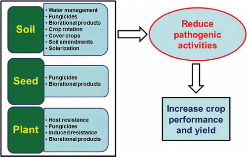 Fig. 2. Conceptual framework for developing an effective and economical management system for Phytophthora capsici that integrates soil, seed and plant treatment to reduce pathogen activities and increase crop performance and yield.