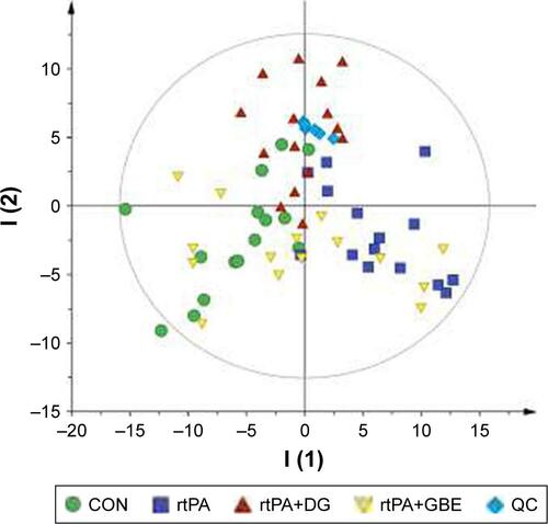 Figure S1 Principal component analysis (PCA) score plot of all samples. R2X =0.987, Q2 =0.859. The main parameters of PCA are the two principal components, including R2X and Q2. Generally, the main parameter for judging the quality of the model is R2X, which indicates how well the model explains the data. A value of 0.4 indicates that the model is reliable.Abbreviations: rtPA, recombinant tissue plasminogen activator; DG, diterpene ginkgolide; GBE, Ginkgo biloba extract; QC, quality control; CON, control.