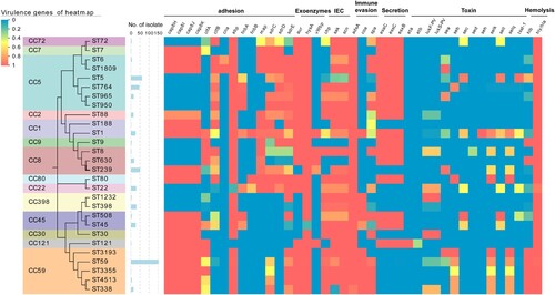 Figure 7. Heatmap illustrating virulence genotype of different STs (CCs). The evolutionary tree based on MLST was generated in MEGA X using the Maximum Likelihood method and Tamura-Nei model with 1000 bootstrap replicates. These virulence factor genes with more than 99% carriage were not displayed in this figure. For more details, see Table S3.