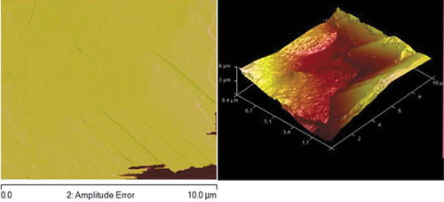 Figure 4. AFM obtained for Zn-10Nb2O5 sample.