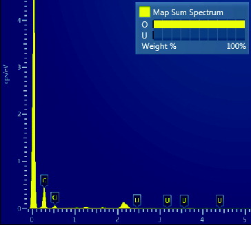 Figure 9. EDS spectrum of chromic acid pre-treated amidoxime fiber prior to seawater submersion.