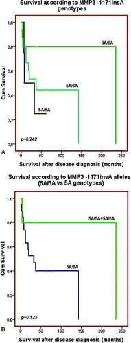 Figure 4. Overall survival of the patients with coetaneous melanoma according the MMP3 -1171insA genotypes: (A) patients are divided in three groups – carriers of 5A/5A, 5A/6A and 6A/6A genotypes; (B) patients are divided into two groups: carriers of 5A allele genotype (5A/5AC5A/6A) and carriers of 6A/6A genotype.