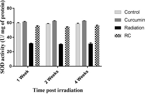 Figure 3 Effects of irradiation pre- and post-treatment with curcumin on SOD activity (U/mg of protein) at 1, 2, and 4 weeks post-irradiation.