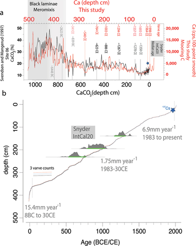 Figure 7. (a) Comparison between µ-XRF Ca (filtered by a 100-point running mean; red) and the carbonates percentage (CaCO3 percent) from Svendsen and Mangerud (Citation1997). The median calibrated radiocarbon dates are shown and the varve ages corresponding to the depth of radiocarbon ages are in red (mean age of the three varve counts). (b) Age model based on the three counts using SEM images. The blue star indicates the 137Cs peak found in our record based on stratigraphical matching with a recent core from Linnévatnet (Figure 4). Also shown are the three calibrated 14C ages from Snyder et al. (Citation1994) with the ~90 percent probability (green; Figure S4).