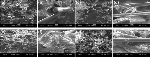 Figure 9. Fracture morphology of AF-6/PA12 composites printed in the (a, b) Y and (c, d) X orientation and Fe3O4@AF-6/PA12 composites printed in the (e, f) Y and (g, h) X orientation.