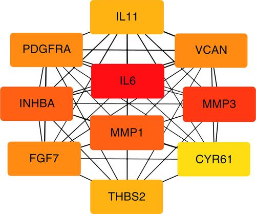 Figure 3 Top ten hub genes with higher degree of connectivity from PPI network.