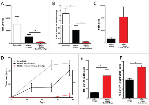 Figure 6. Sushi-IL15-Apo increases ADCC in a transient humanized murine model. (A) Absolute numbers of living HT-29 cells recovered from the peritoneal lavage of mice intraperitoneally given 106 HT-29 cells and 106 human PBMCs, 20 µg of Sushi-IL15-Apo protein and 50 µg of cetuximab. Pooled data from 4 independent experiments with 2–5 mice per group are shown in the graph. (B) Percentage of living HT-29 cells recovered in experiment A. (C) Absolute numbers of NK cells recovered in the peritoneal lavages. (D) Subcutaneous tumor growth observed in mice from the experiment A at the tumor lavage puncture site. (E and F) CD137 expression and percentage of CD16low cells in NK cells recovered in the peritoneal lavages. ## = p < 0.01 and # = p < 0.05 in U-Mann Whitney or Kruskal-Wallis test.