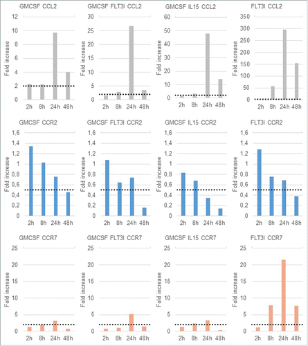 Figure 6. CCL2, CCR2 and CCR7 gene expression profile BMDCs from C57BL/6 mice were infected at a MOI of 30. 2h, 4h, 24h and 48h post-infection, cells were recovered and RNA were extracted. QPCR were performed to measure fold increase between non infected and infected conditions. Statistical analysis was performed by using the Comparative CT Method (ΔΔ CT Method) given by: 2–ΔΔCT. The dotted line represent a fold increase of 2 or 0.5, the statistical significant threshold in this method for respectively an up-regulation or a downregulation.