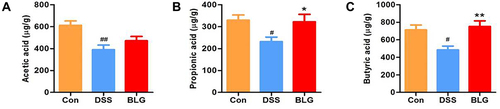 Figure 5 BLG increased the levels of SCFAs in the feces of DSS-induced colitis mice. (A) acetic acid content in feces; (B) propionic acid content in feces; (C) butyric acid content in feces. Data are expressed as the mean ± SEM (n = 6). #p < 0.05 or ##p < 0.01 vs control (Con) group; *p < 0.05 or **p < 0.01 vs DSS group.